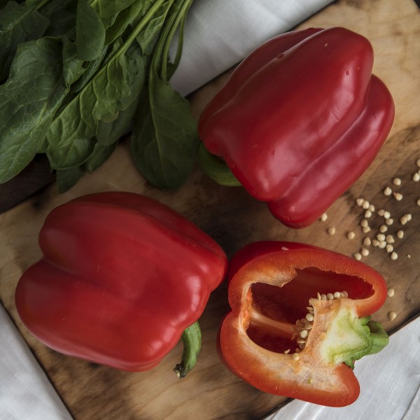 Болгарский перец красный Болгарский перец красный