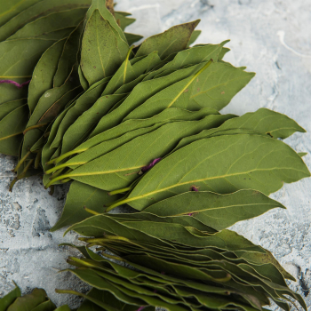 Лавровый лист венок