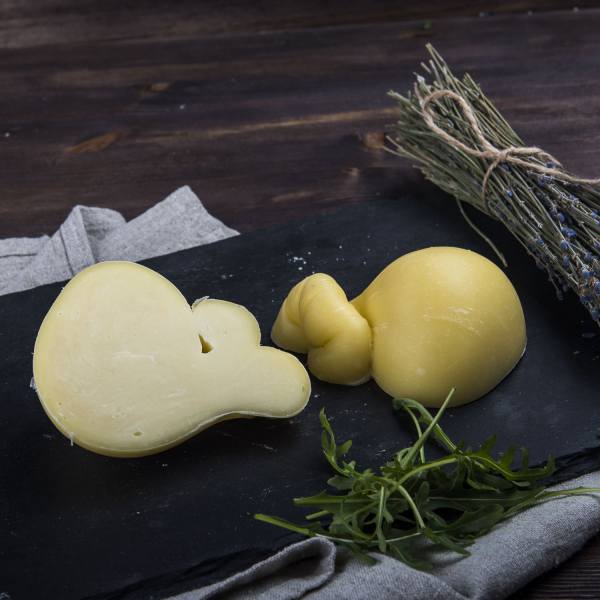 Скаморца классическая 