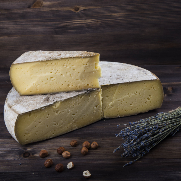 Чеддер Чеддер