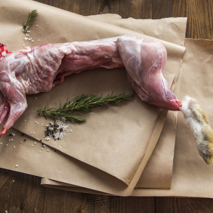 Кролик фермерский