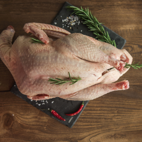 Индейка фермерская