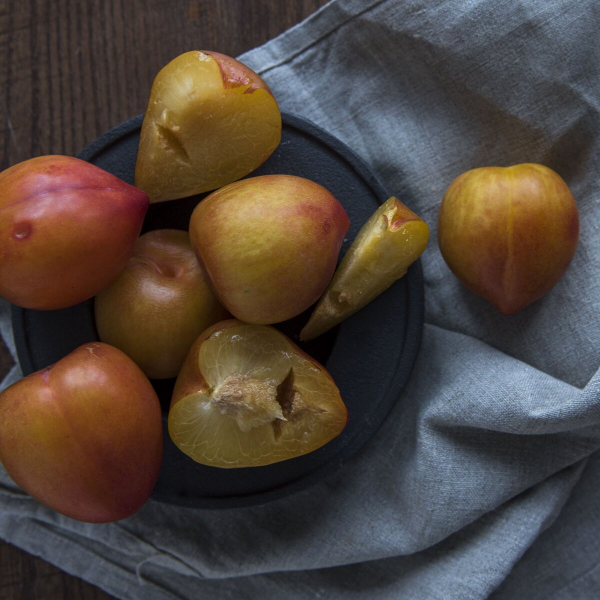 Слива Слива