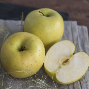 Яблоко Голден