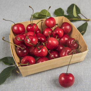 Черешня узбекская розовая