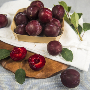 Слива узбекская 