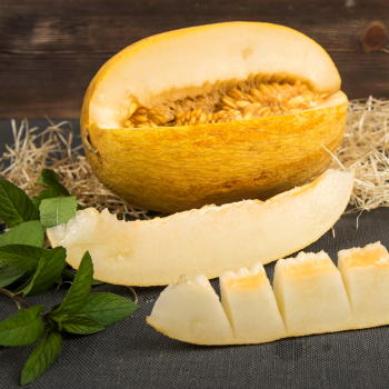 Дыня узбекская