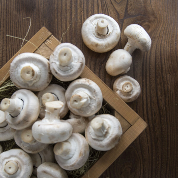 Шампиньоны