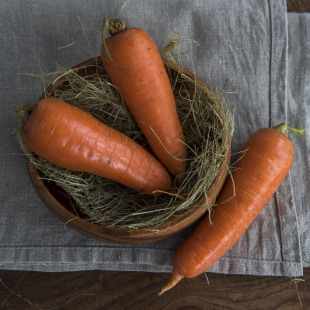 Морковь молодая