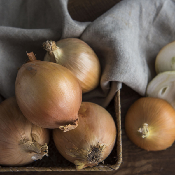 Лук репчатый крупный Лук репчатый крупный