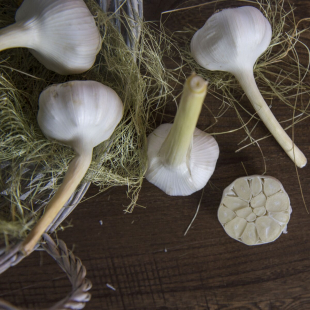 Чеснок молодой