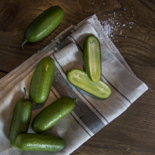 Огурцы бакинские темные