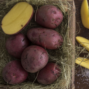 Картофель молодой красный