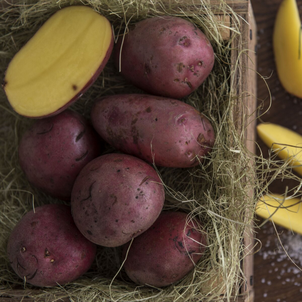 Картофель молодой красный