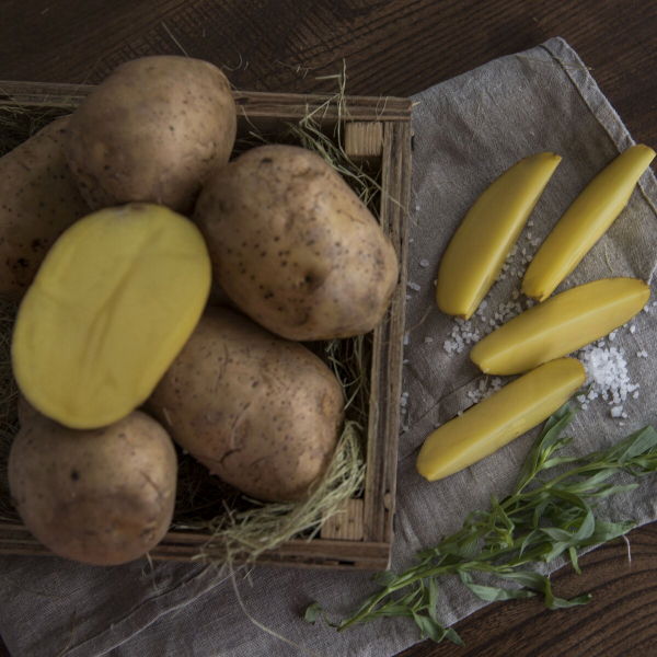 Картофель молодой желтый Картофель молодой желтый