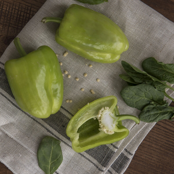 Болгарский перец зеленый