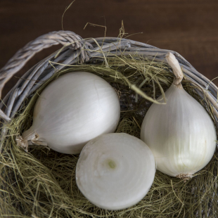 Лук белый