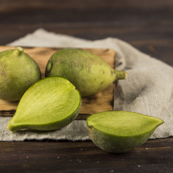 Редька зеленая