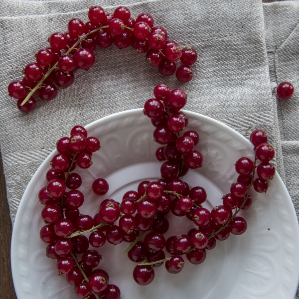 Смородина красная, упаковка