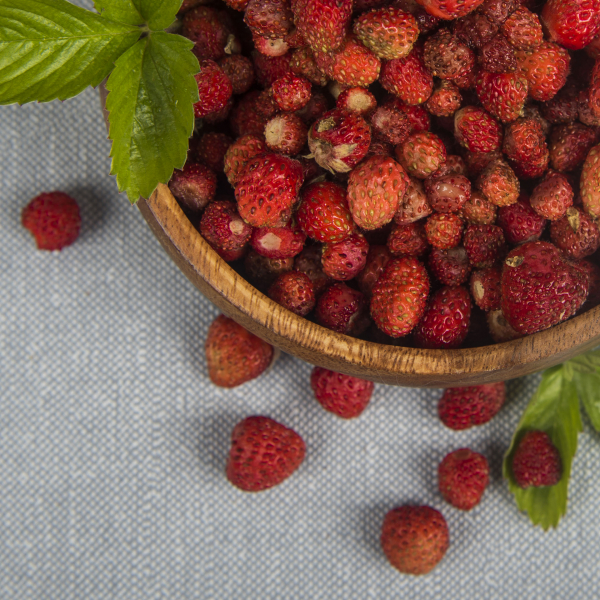 Земляника лесная