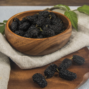 Шелковица черная