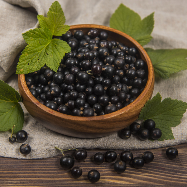 Черная смородина