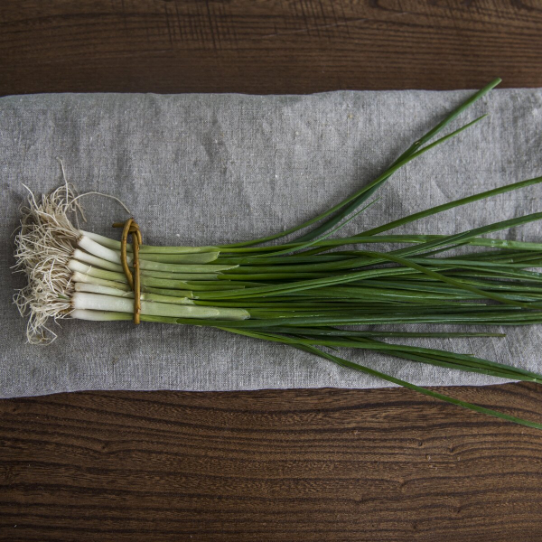 Лук зеленый