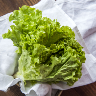 Салат зеленый