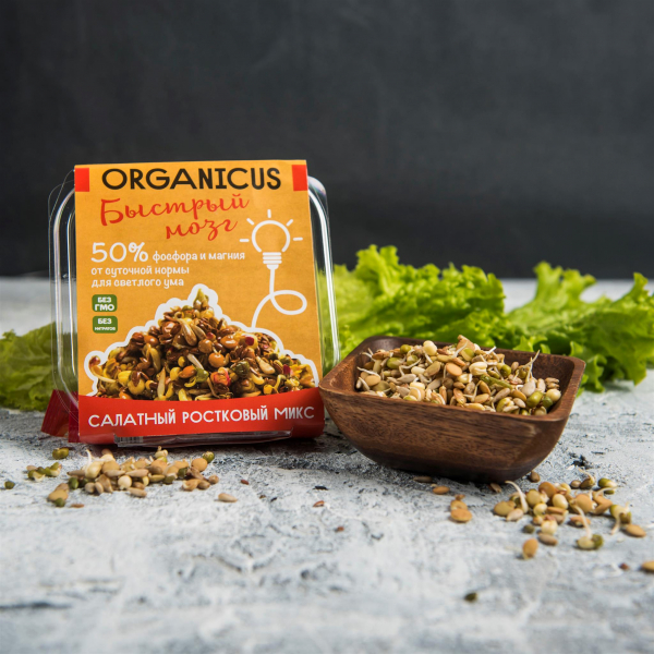 Салатный ростковый микс Быстрый мозг Салатный ростковый микс Быстрый мозг