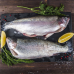 Форель озерная 300-400, охлажденная