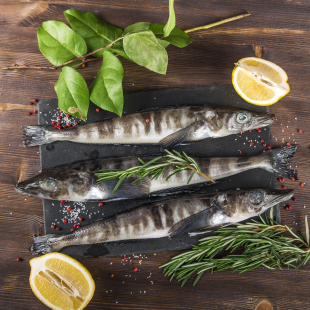 Ледяная рыба