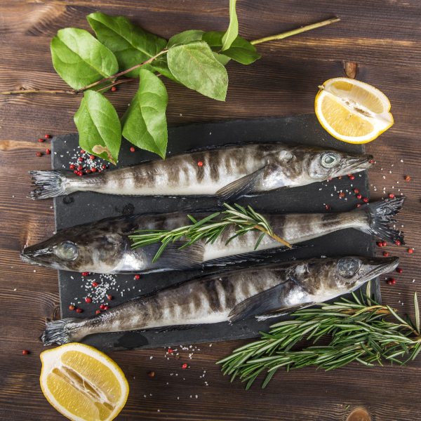 Ледяная рыба